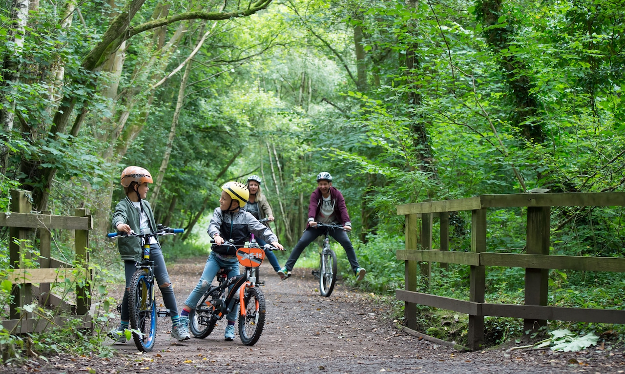 cycling-churnet-valley-woods-image-enjoy-staffs