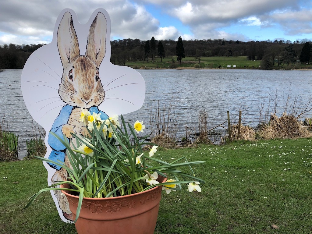 Peter-Rabbit-Trentham-Gardens