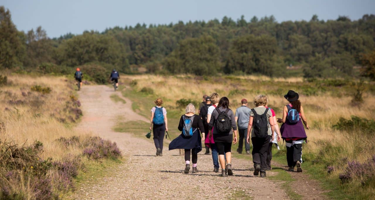 Cannock-Chase